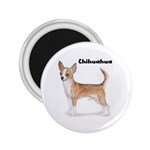 Chihuahua 2.25  Magnet