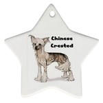 Chinese Crested Ornament (Star)