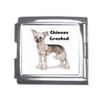 Chinese Crested Mega Link Italian Charm (18mm)