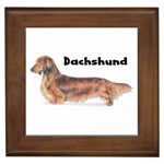 Dachshund Long Haired Framed Tile