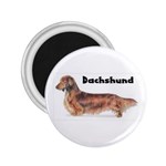 Dachshund Long Haired 2.25  Magnet