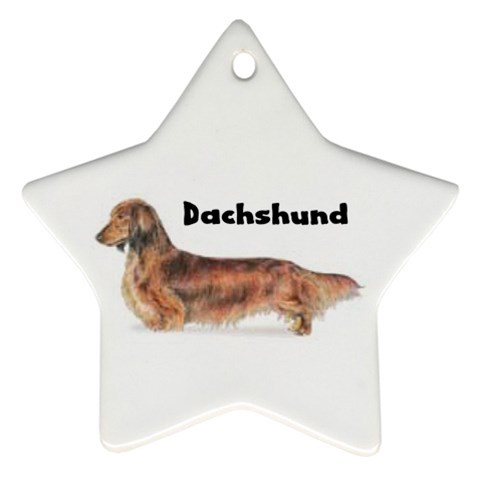 Dachshund Long Haired Ornament (Star) from ArtsNow.com Front