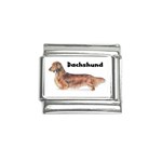 Dachshund Long Haired Italian Charm (9mm)