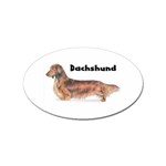 Dachshund Long Haired Sticker (Oval)