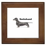 Dachshund Smooth Framed Tile