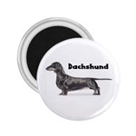 Dachshund Smooth 2.25  Magnet