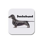 Dachshund Smooth Rubber Square Coaster (4 pack)