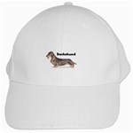 Dachshund Wirehaired White Cap