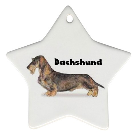 Dachshund Wirehaired Ornament (Star) from ArtsNow.com Front