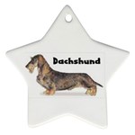 Dachshund Wirehaired Ornament (Star)