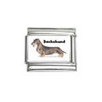 Dachshund Wirehaired Italian Charm (9mm)