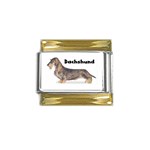 Dachshund Wirehaired Gold Trim Italian Charm (9mm)