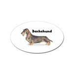 Dachshund Wirehaired Sticker (Oval)