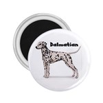 Dalmatian 2.25  Magnet