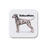 Dalmatian Rubber Square Coaster (4 pack)