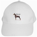 Doberman Pinscher White Cap