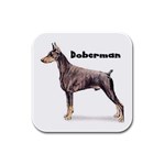 Doberman Pinscher Rubber Square Coaster (4 pack)