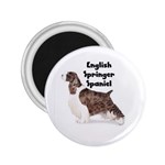 English Springer Spaniel 2.25  Magnet