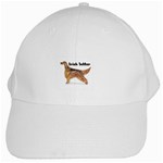 Irish Setter White Cap