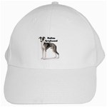 Italian Greyhound White Cap