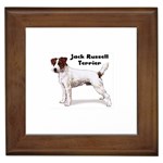 Jack Russell Terrier Framed Tile