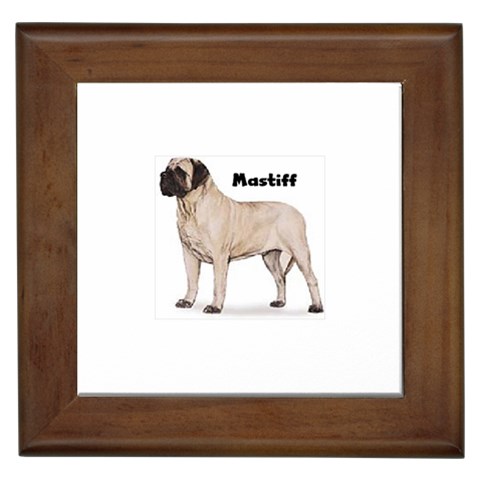 Mastiff Framed Tile from ArtsNow.com Front