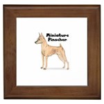 Miniature Pinscher Framed Tile