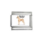 Miniature Pinscher Italian Charm (9mm)