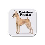 Miniature Pinscher Rubber Square Coaster (4 pack)