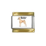 Miniature Pinscher Gold Trim Italian Charm (9mm)