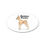 Miniature Pinscher Sticker (Oval)