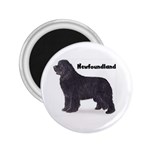 Newfoundland 2.25  Magnet