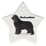 Newfoundland Ornament (Star)