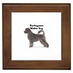 Portuguese Water Dog Framed Tile