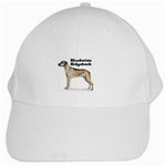 Rhodesian Ridgeback White Cap