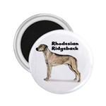 Rhodesian Ridgeback 2.25  Magnet