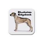 Rhodesian Ridgeback Rubber Square Coaster (4 pack)