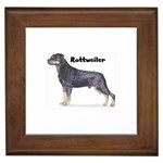 Rottweiler Framed Tile