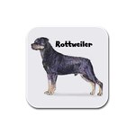 Rottweiler Rubber Square Coaster (4 pack)