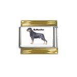 Rottweiler Gold Trim Italian Charm (9mm)