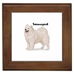 Samoyed Framed Tile