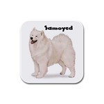 Samoyed Rubber Square Coaster (4 pack)