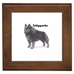 Schipperke Framed Tile