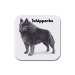 Schipperke Rubber Square Coaster (4 pack)