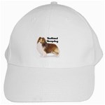 Shetland Sheepdog Sheltie White Cap