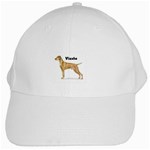 Vizsla White Cap