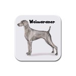 Weimaraner Rubber Square Coaster (4 pack)