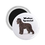 Water Spaniel 2.25  Magnet