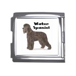 Water Spaniel Mega Link Italian Charm (18mm)