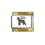 Water Spaniel Gold Trim Italian Charm (9mm)